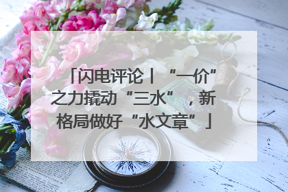 闪电评论丨“一价”之力撬动“三水”，新格局做好“水文章”