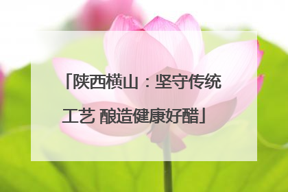 陕西横山：坚守传统工艺 酿造健康好醋