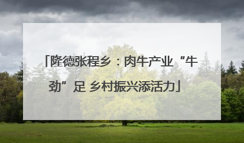 隆德张程乡：肉牛产业“牛劲”足 乡村振兴添活力