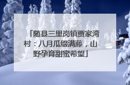 随县三里岗镇贾家湾村：八月瓜缀满藤，山野孕育甜蜜希望