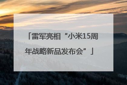 雷军亮相“小米15周年战略新品发布会”