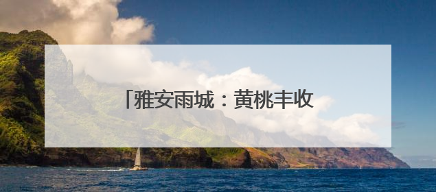 雅安雨城：黄桃丰收 邀您来采摘和品尝