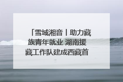 雪域湘音丨助力藏族青年就业 湖南援藏工作队建成西藏首个清洁能源装备园