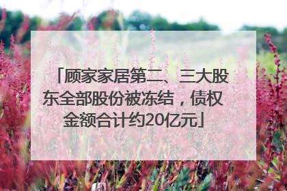 顾家家居第二、三大股东全部股份被冻结，债权金额合计约20亿元