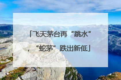 飞天茅台再“跳水”，“蛇茅”跌出新低