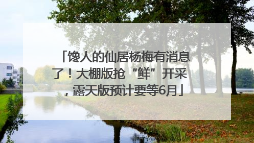 馋人的仙居杨梅有消息了!大棚版抢“鲜”开采,露天版预计要等6月