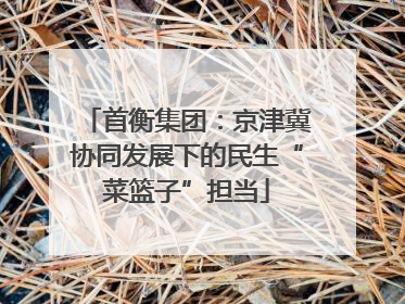 首衡集团：京津冀协同发展下的民生“菜篮子”担当