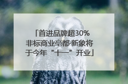 首进品牌超30% 非标商业亳都·新象将于今年“十一”开业