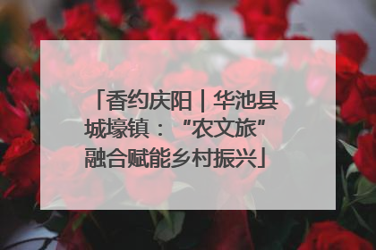 香约庆阳｜华池县城壕镇：“农文旅”融合赋能乡村振兴