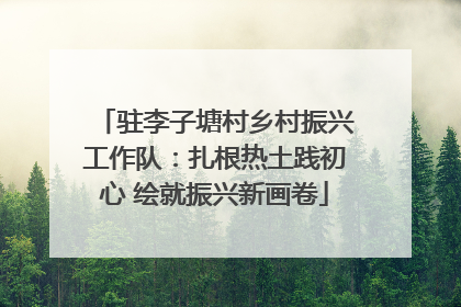 驻李子塘村乡村振兴工作队：扎根热土践初心 绘就振兴新画卷