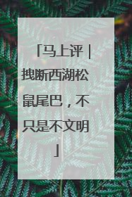 马上评｜拽断西湖松鼠尾巴，不只是不文明
