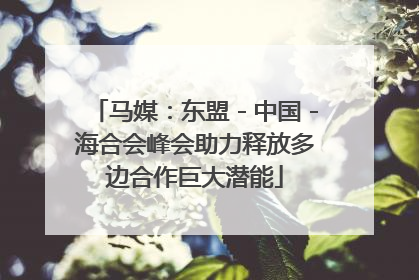 马媒：东盟－中国－海合会峰会助力释放多边合作巨大潜能