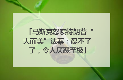 马斯克怒喷特朗普“大而美”法案：忍不了了，令人厌恶至极
