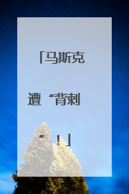 马斯克遭“背刺”！