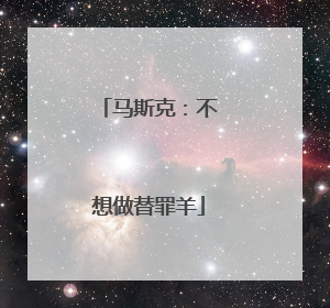 马斯克：不想做替罪羊
