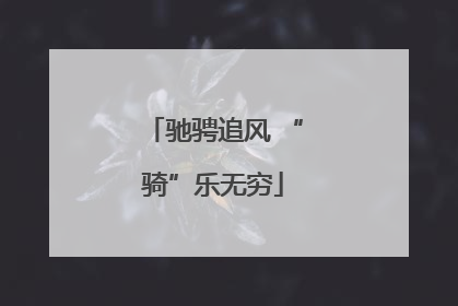 驰骋追风 “骑”乐无穷