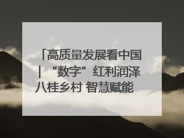 高质量发展看中国｜“数字”红利润泽八桂乡村 智慧赋能绘就振兴画卷