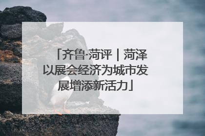 齐鲁·菏评｜菏泽以展会经济为城市发展增添新活力