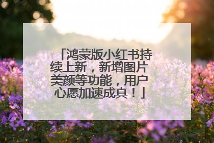 鸿蒙版小红书持续上新，新增图片美颜等功能，用户心愿加速成真！