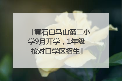黄石白马山第二小学9月开学，1年级按对口学区招生