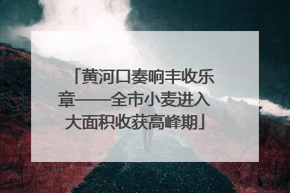 黄河口奏响丰收乐章——全市小麦进入大面积收获高峰期