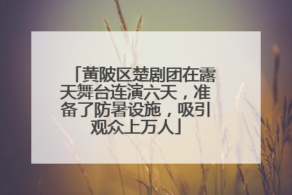 黄陂区楚剧团在露天舞台连演六天，准备了防暑设施，吸引观众上万人