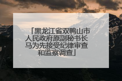 黑龙江省双鸭山市人民政府原副秘书长马为先接受纪律审查和监察调查