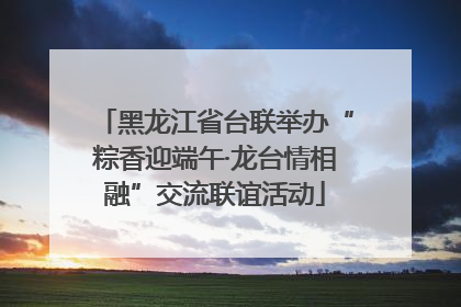 黑龙江省台联举办“粽香迎端午·龙台情相融”交流联谊活动