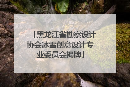 黑龙江省勘察设计协会冰雪创意设计专业委员会揭牌