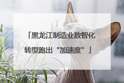 黑龙江制造业数智化转型跑出“加速度”