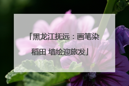 黑龙江抚远：画笔染稻田 墙绘迎旅发