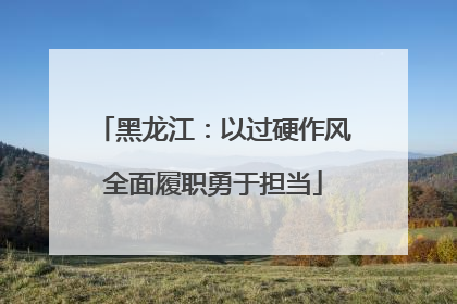 黑龙江：以过硬作风全面履职勇于担当
