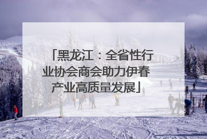 黑龙江：全省性行业协会商会助力伊春产业高质量发展
