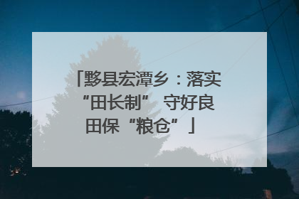 黟县宏潭乡：落实“田长制” 守好良田保“粮仓”
