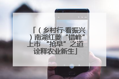 （乡村行·看振兴）南湖红菱“错峰”上市 “抢早”之道诠释农业新生