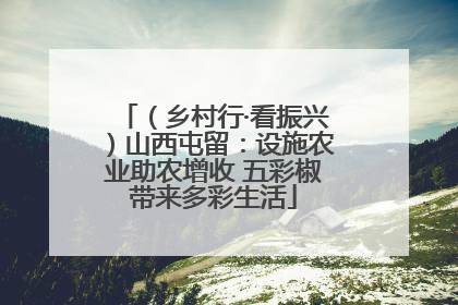 （乡村行·看振兴）山西屯留：设施农业助农增收 五彩椒带来多彩生活