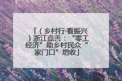（乡村行·看振兴）浙江嘉善：“零工经济”助乡村民众“家门口”增收