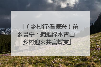 （乡村行·看振兴）畲乡景宁：拥抱绿水青山 乡村迎来共富蝶变