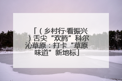 （乡村行·看振兴）舌尖“欢腾”科尔沁草原：打卡“草原味道”新地标