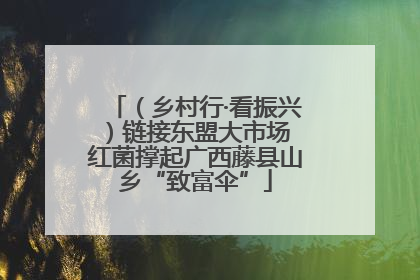（乡村行·看振兴）链接东盟大市场 红菌撑起广西藤县山乡“致富伞”