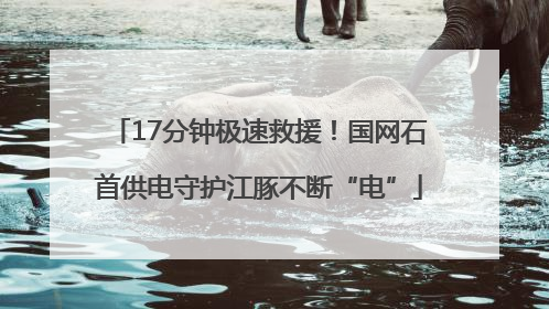 17分钟极速救援！国网石首供电守护江豚不断“电”