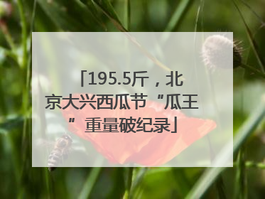 195.5斤，北京大兴西瓜节“瓜王”重量破纪录