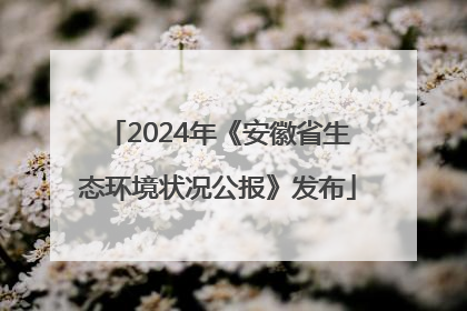 2024年《安徽省生态环境状况公报》发布