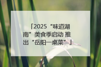 2025“味道湖南”美食季启动 推出“岳阳一桌菜”