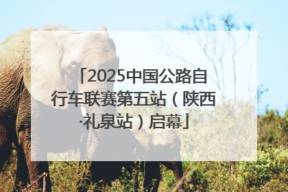 2025中国公路自行车联赛第五站（陕西·礼泉站）启幕