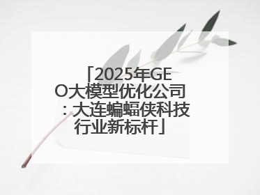 2025年GEO大模型优化公司：大连蝙蝠侠科技行业新标杆