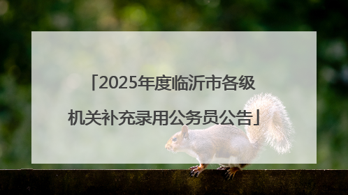 2025年度临沂市各级机关补充录用公务员公告