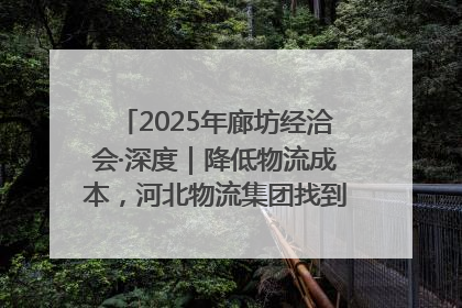 2025年廊坊经洽会·深度｜降低物流成本，河北物流集团找到一把“金钥匙”