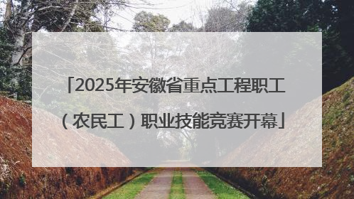 2025年安徽省重点工程职工（农民工）职业技能竞赛开幕