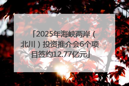 2025年海峡两岸（北川）投资推介会6个项目签约12.77亿元